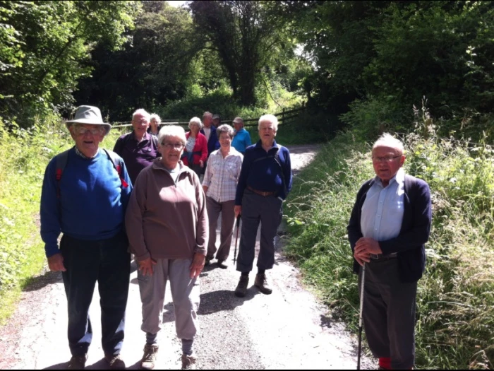 june walk