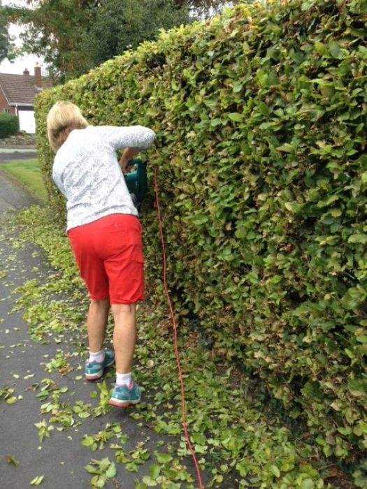 lady cutting external hedge