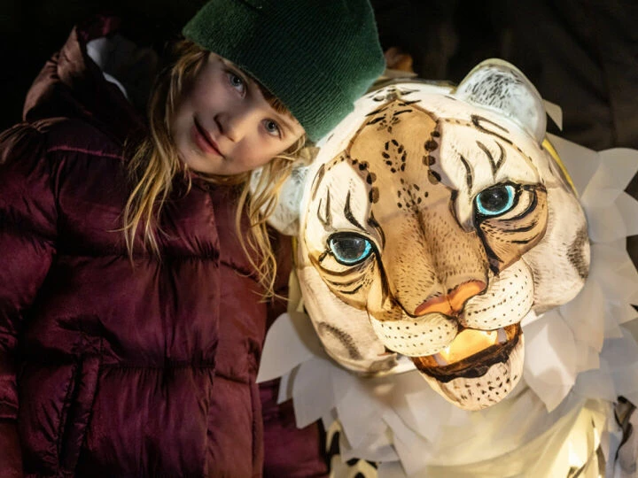 lanternssnowleopardpuppet