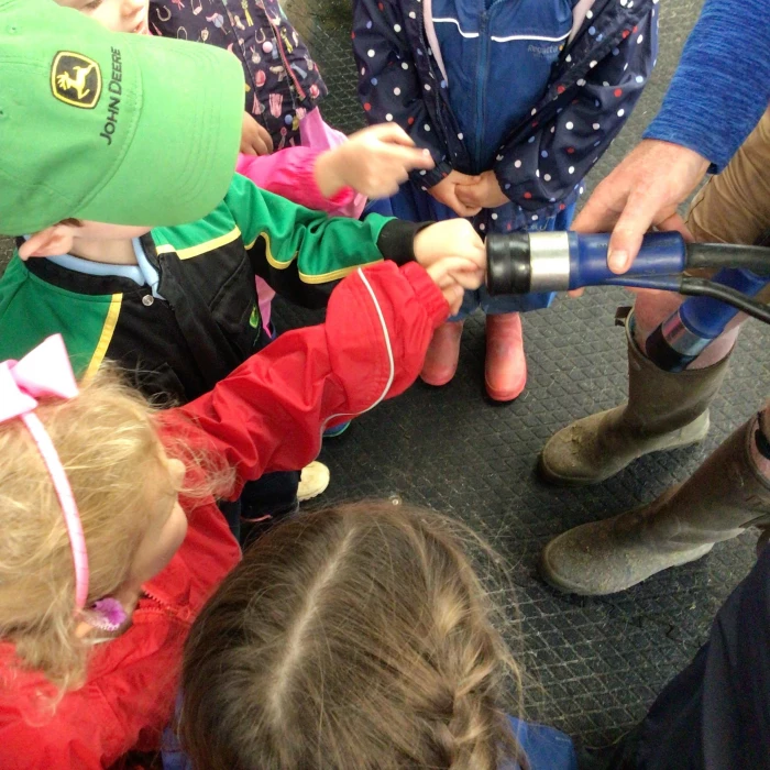 learning about clusters in the milking palour