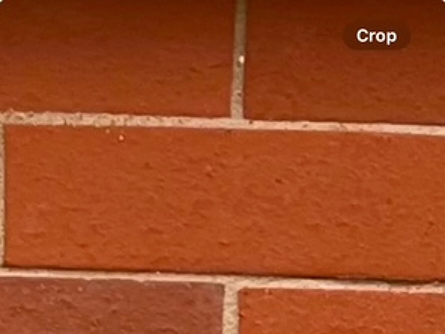 lime mortar