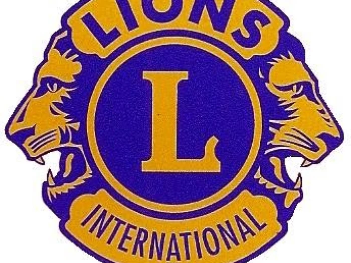 lions logo