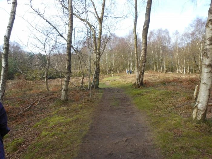 little budworth walk image