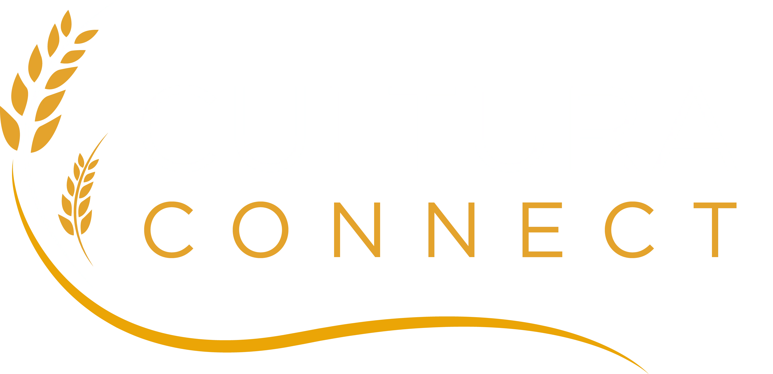 Cultura Connect Logo Link