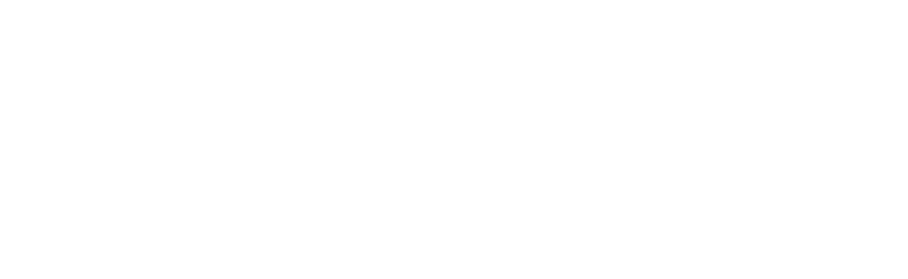 Irieland Logo Link