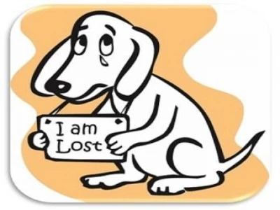 lost dog 02