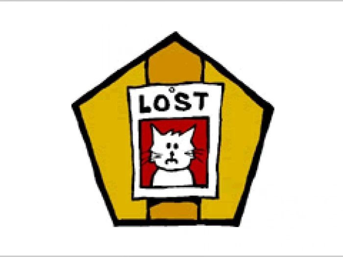 lostcat