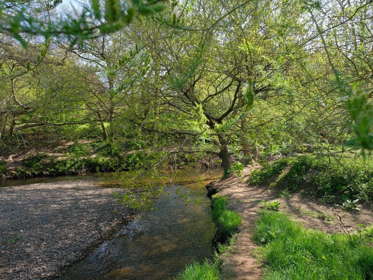 mersey forest river bollin