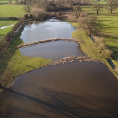 mill brook 4
