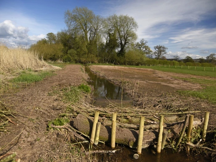 millbrook wetlands  3 april 2016 web  copy