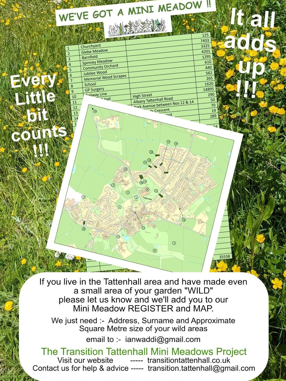 mini meadows project