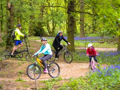 nostell mtb cycle trail 02