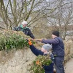 off comes the invasive ivy