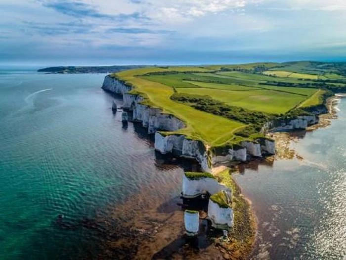 old harry