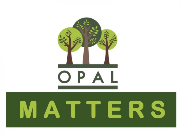 opal logo