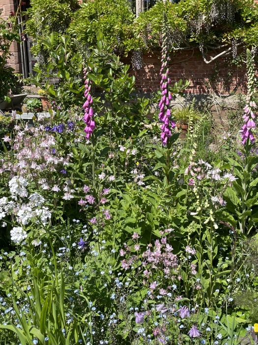 open garden