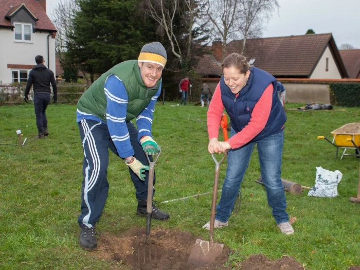 orchard planting  2nd phase