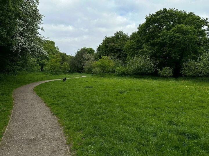 orchard