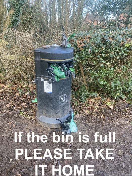 overflowing bin dog waste