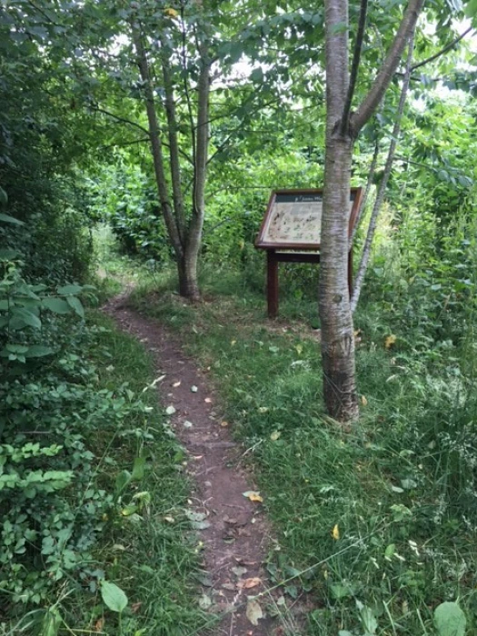 path 10a
