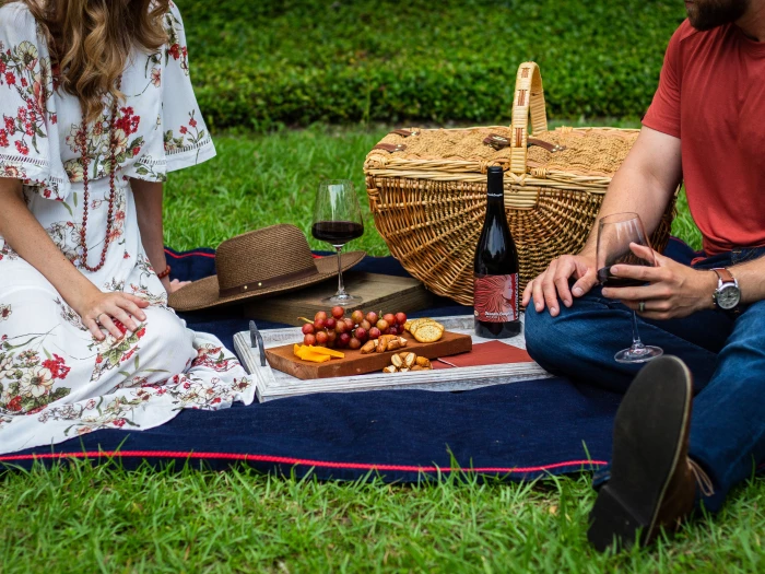 people picnic