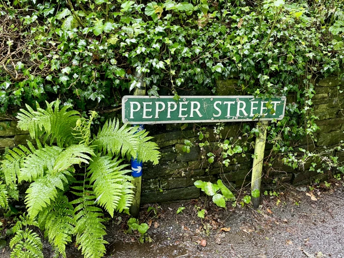 pepper street