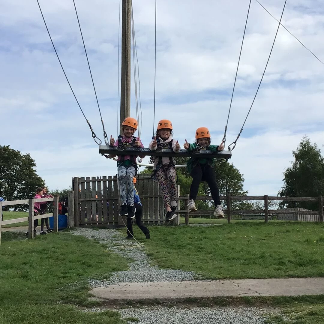 pgl 16