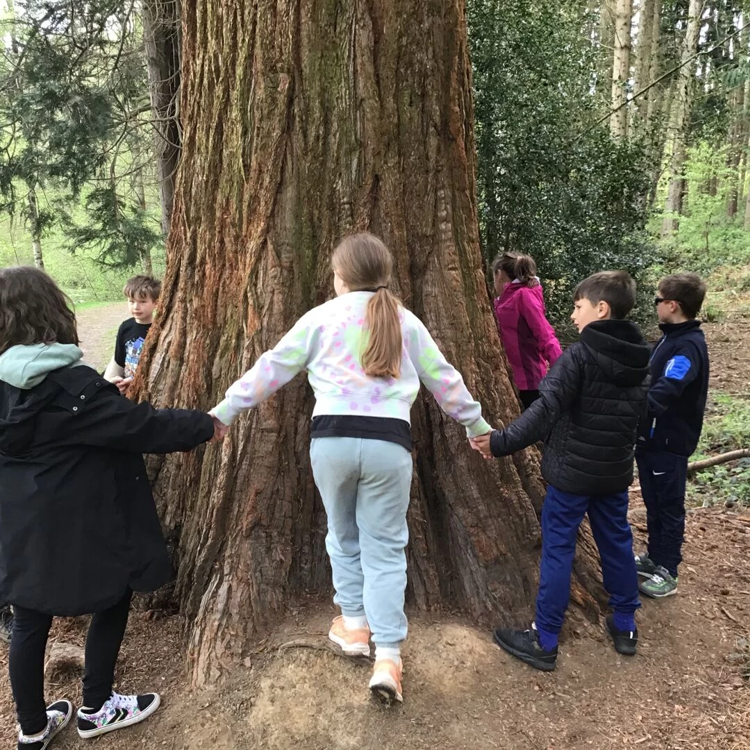 pgl 17