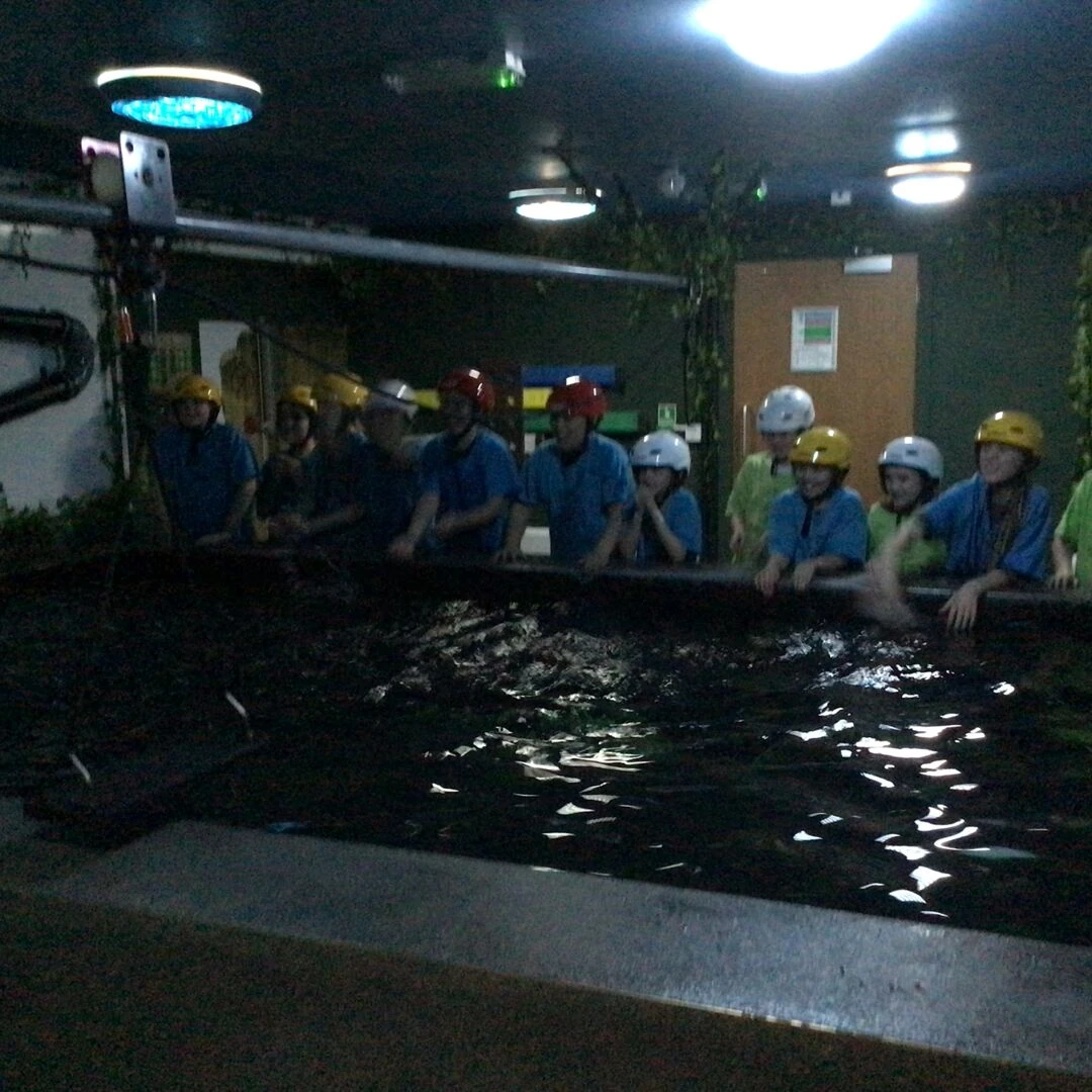 piranha pool