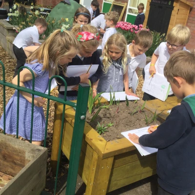 plant hunt 4
