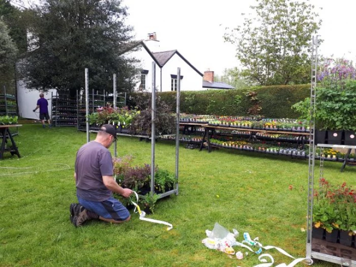 plant sale setup