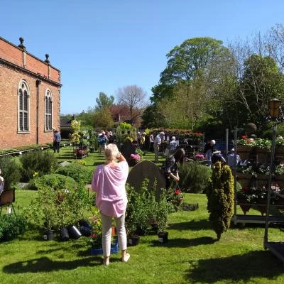 plant sale4 2018