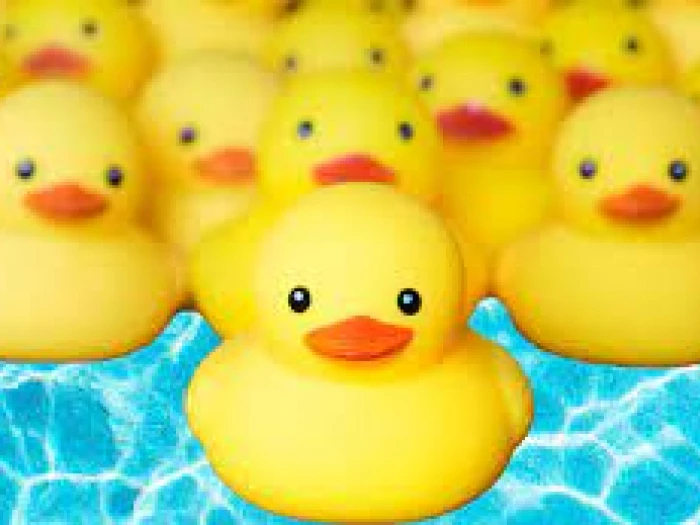 plastic ducks