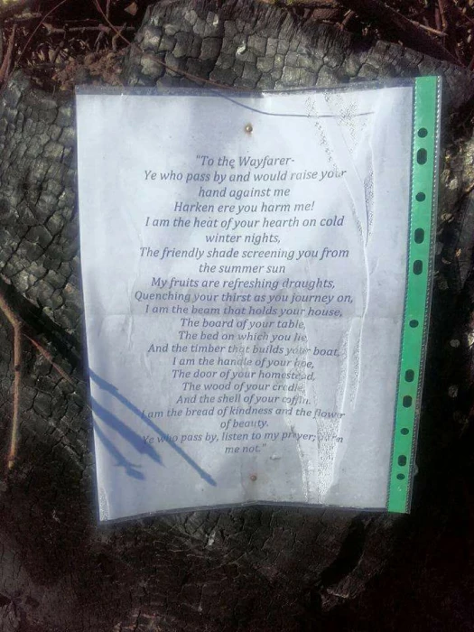 poem at ox heys