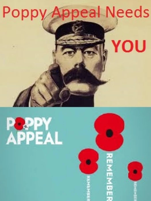 poppy appeal need you