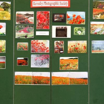 poppy display emmanuel 11th nov 2017 7