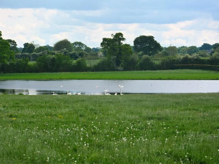 popular bird spotting lake