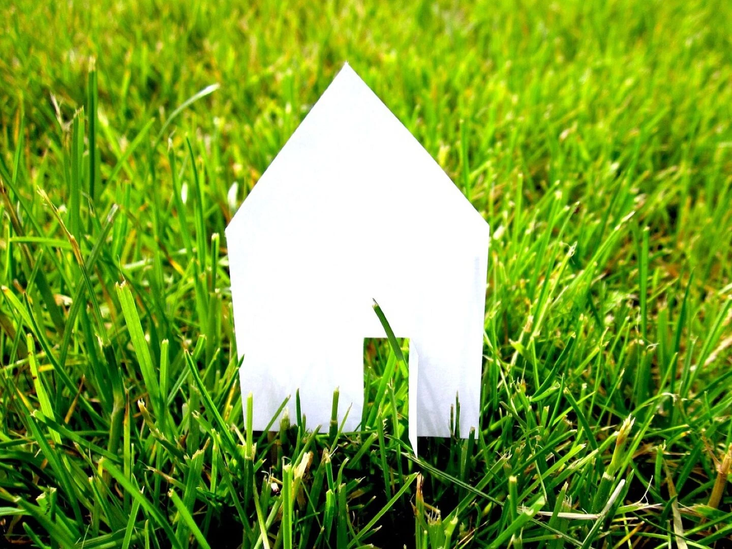 property home house