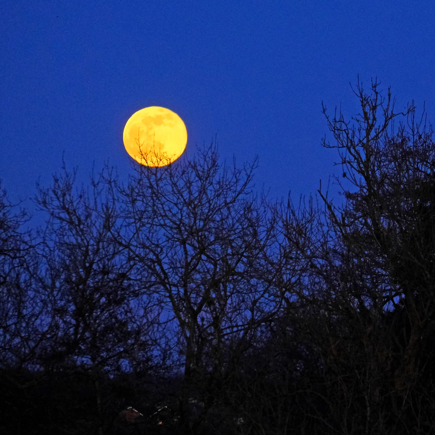 r moonrise f2847