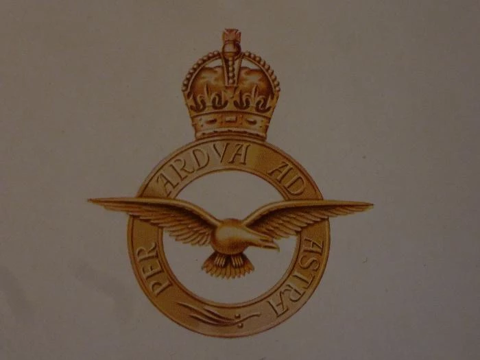 raf 100 celebration