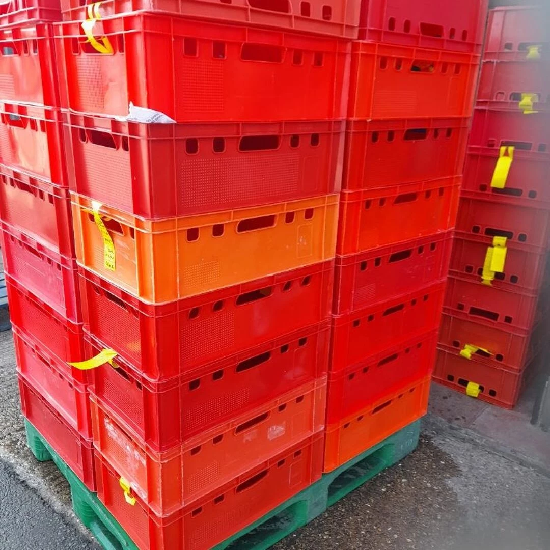 red trays