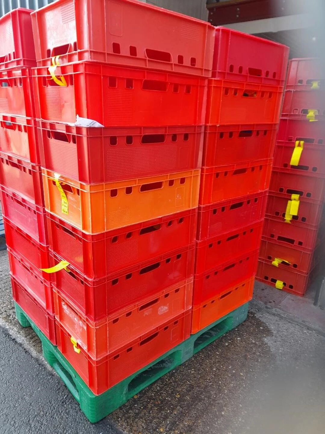 red trays