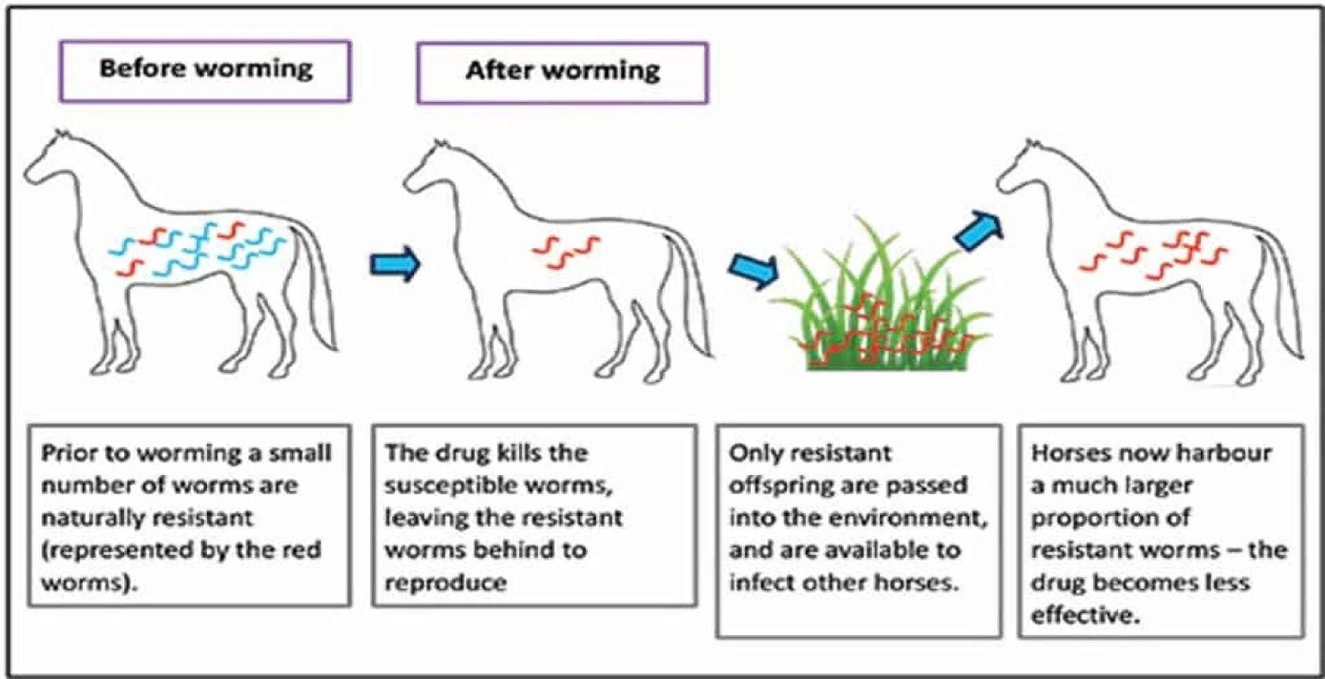 resistance testing