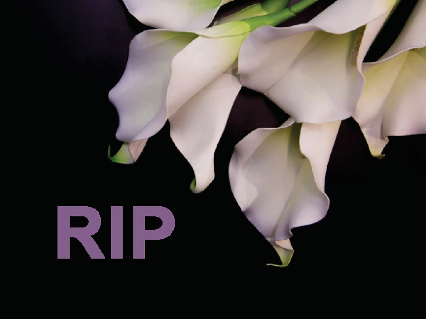 rip graphicsquare