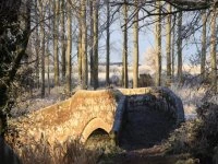 roman bridge in frost