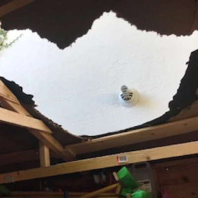 roof vandals 03