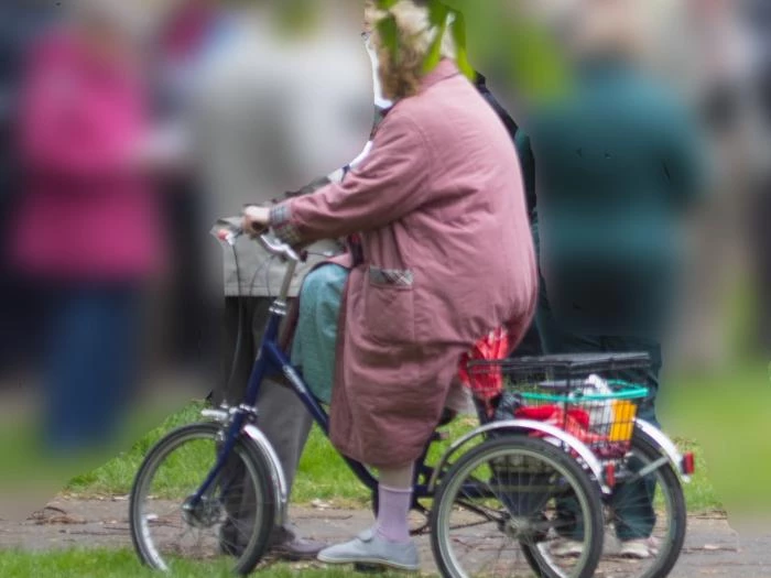 rosemary in tricycle