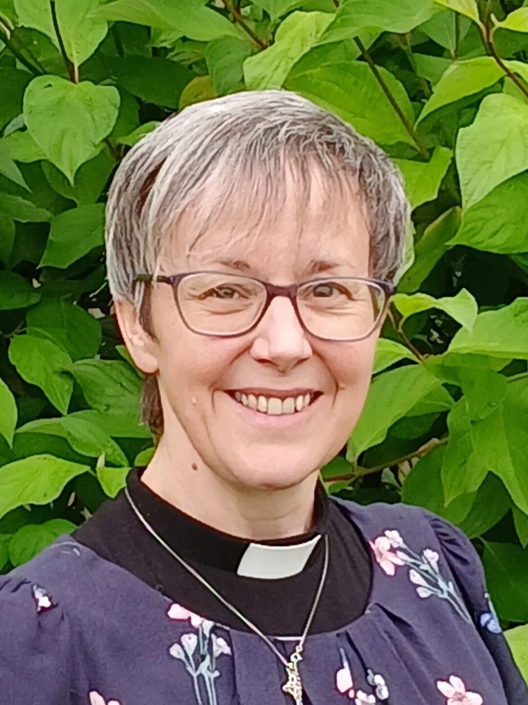 sarah knebel