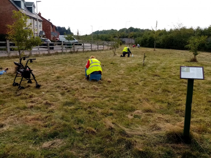 saxon heath  planting 2  392022