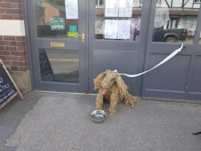 scarecrow 4